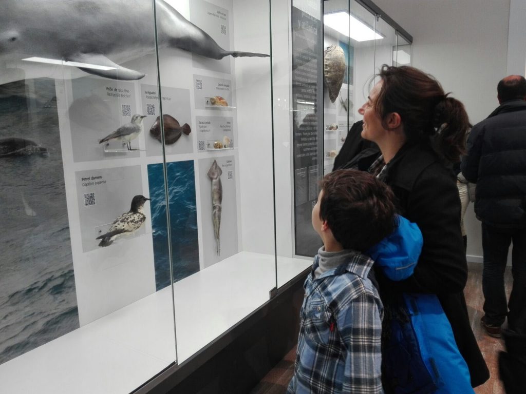 Museo Historia Natural - Biodiversidade